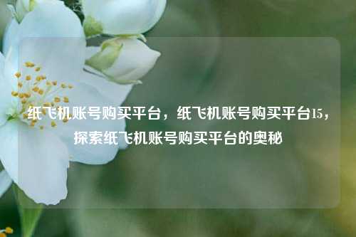 纸飞机账号购买平台，纸飞机账号购买平台15，探索纸飞机账号购买平台的奥秘