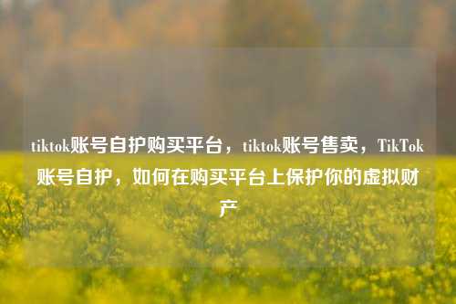 tiktok账号自护购买平台，tiktok账号售卖，TikTok账号自护，如何在购买平台上保护你的虚拟财产