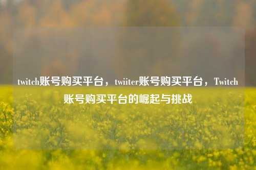 twitch账号购买平台，twiiter账号购买平台，Twitch账号购买平台的崛起与挑战