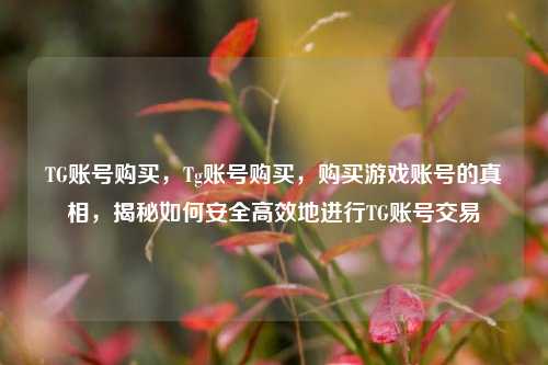 TG账号购买，Tg账号购买，购买游戏账号的真相，揭秘如何安全高效地进行TG账号交易