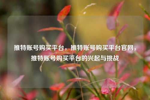 推特账号购买平台，推特账号购买平台官网，推特账号购买平台的兴起与挑战