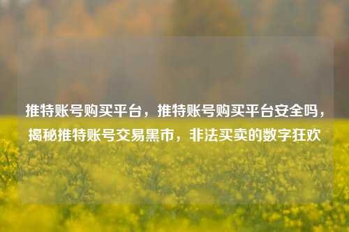 推特账号购买平台，推特账号购买平台安全吗，揭秘推特账号交易黑市，非法买卖的数字狂欢