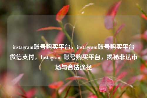 instagram账号购买平台，instagram账号购买平台微信支付，Instagram 账号购买平台，揭秘非法市场与合法途径