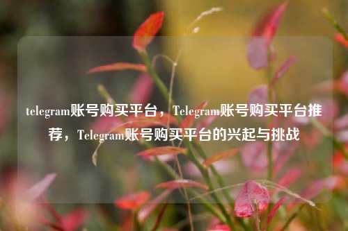 telegram账号购买平台，Telegram账号购买平台推荐，Telegram账号购买平台的兴起与挑战
