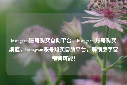 instagram账号购买自助平台，instagram账号购买渠道，Instagram账号购买自助平台，解锁数字营销新可能！