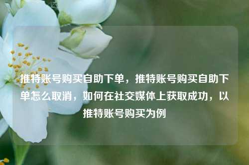 推特账号购买自助下单，推特账号购买自助下单怎么取消，如何在社交媒体上获取成功，以推特账号购买为例