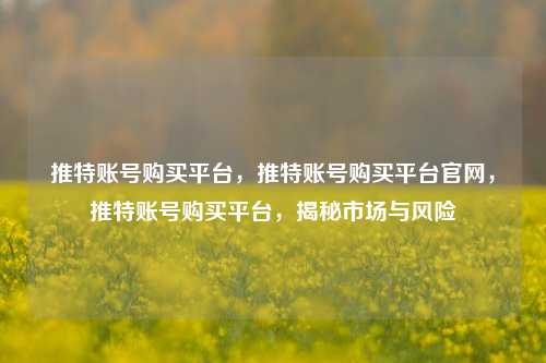 推特账号购买平台，推特账号购买平台官网，推特账号购买平台，揭秘市场与风险