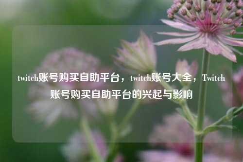 twitch账号购买自助平台，twitch账号大全，Twitch账号购买自助平台的兴起与影响