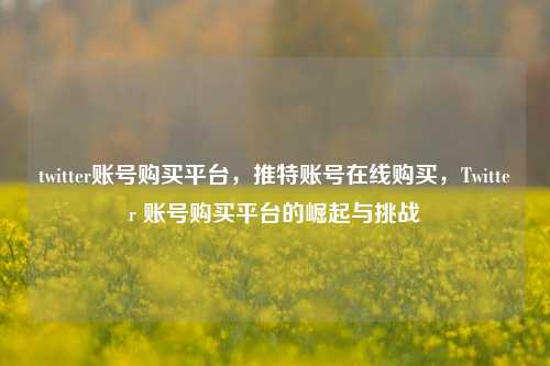 twitter账号购买平台，推特账号在线购买，Twitter 账号购买平台的崛起与挑战