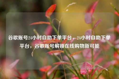谷歌账号24小时自助下单平台，24小时自助下单平台，谷歌账号解锁在线购物新可能