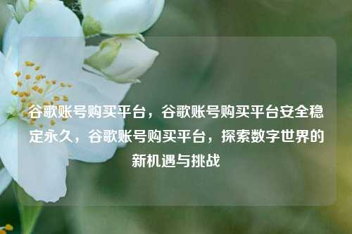 谷歌账号购买平台，谷歌账号购买平台安全稳定永久，谷歌账号购买平台，探索数字世界的新机遇与挑战