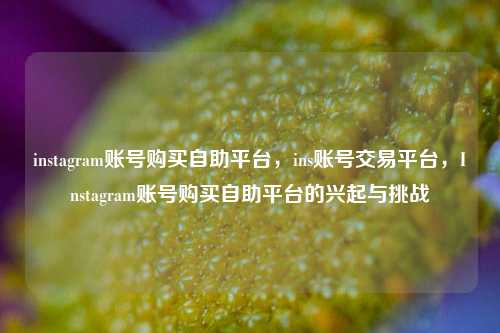 instagram账号购买自助平台，ins账号交易平台，Instagram账号购买自助平台的兴起与挑战