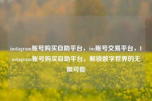 instagram账号购买自助平台，ins账号交易平台，Instagram账号购买自助平台，解锁数字世界的无限可能