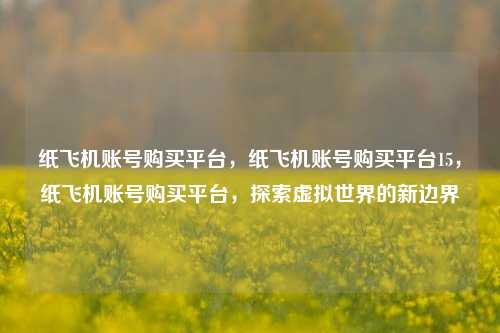 纸飞机账号购买平台，纸飞机账号购买平台15，纸飞机账号购买平台，探索虚拟世界的新边界