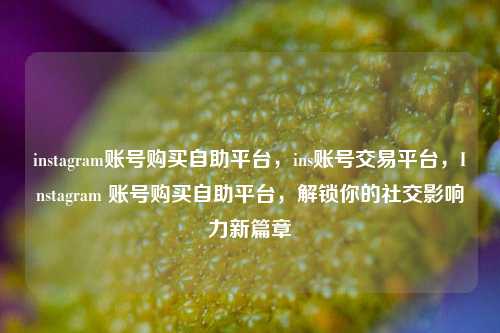 instagram账号购买自助平台，ins账号交易平台，Instagram 账号购买自助平台，解锁你的社交影响力新篇章