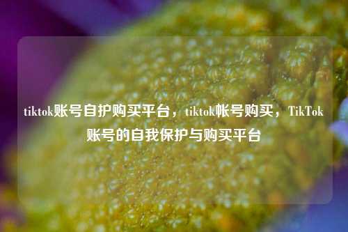 tiktok账号自护购买平台，tiktok帐号购买，TikTok账号的自我保护与购买平台