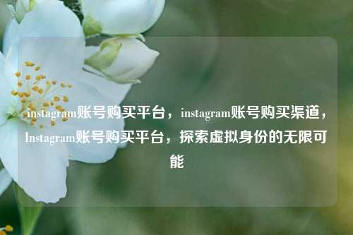 instagram账号购买平台，instagram账号购买渠道，Instagram账号购买平台，探索虚拟身份的无限可能