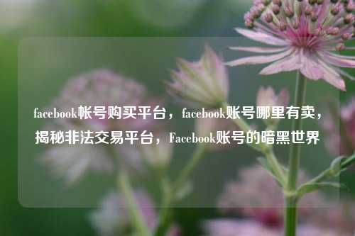 facebook帐号购买平台，facebook账号哪里有卖，揭秘非法交易平台，Facebook账号的暗黑世界