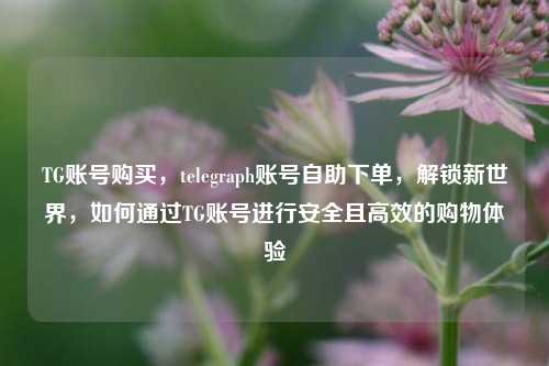 TG账号购买，telegraph账号自助下单，解锁新世界，如何通过TG账号进行安全且高效的购物体验