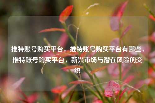 推特账号购买平台，推特账号购买平台有哪些，推特账号购买平台，新兴市场与潜在风险的交织