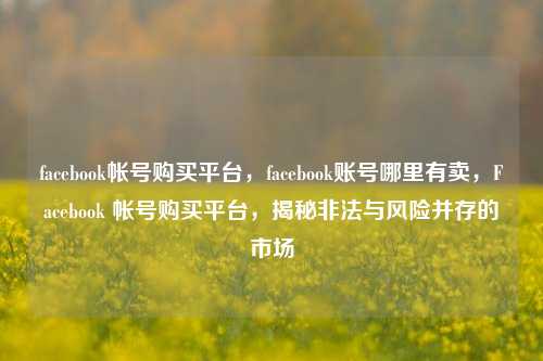 facebook帐号购买平台，facebook账号哪里有卖，Facebook 帐号购买平台，揭秘非法与风险并存的市场