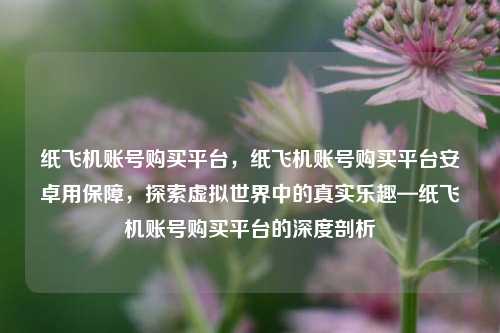 纸飞机账号购买平台，纸飞机账号购买平台安卓用保障，探索虚拟世界中的真实乐趣—纸飞机账号购买平台的深度剖析