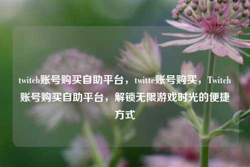 twitch账号购买自助平台，twitte账号购买，Twitch账号购买自助平台，解锁无限游戏时光的便捷方式