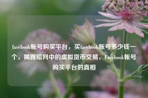 facebook帐号购买平台，买facebook账号多少钱一个，揭露暗网中的虚拟货币交易，Facebook帐号购买平台的真相