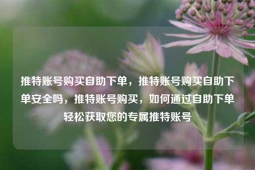 推特账号购买自助下单，推特账号购买自助下单安全吗，推特账号购买，如何通过自助下单轻松获取您的专属推特账号