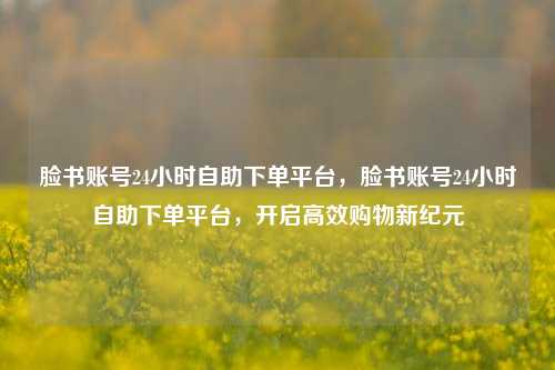脸书账号24小时自助下单平台，脸书账号24小时自助下单平台，开启高效购物新纪元