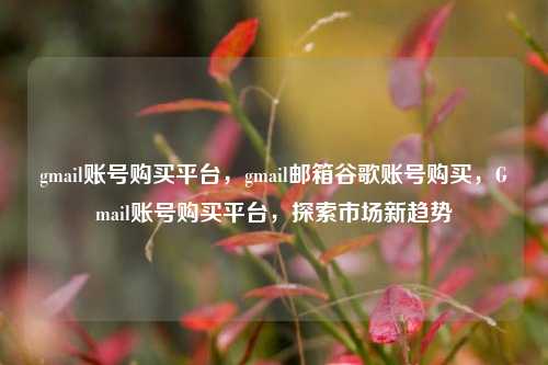 gmail账号购买平台，gmail邮箱谷歌账号购买，Gmail账号购买平台，探索市场新趋势