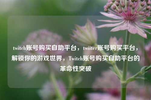 twitch账号购买自助平台，twiiter账号购买平台，解锁你的游戏世界，Twitch账号购买自助平台的革命性突破