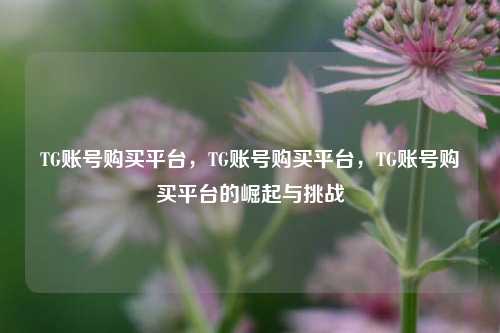 TG账号购买平台，TG账号购买平台，TG账号购买平台的崛起与挑战