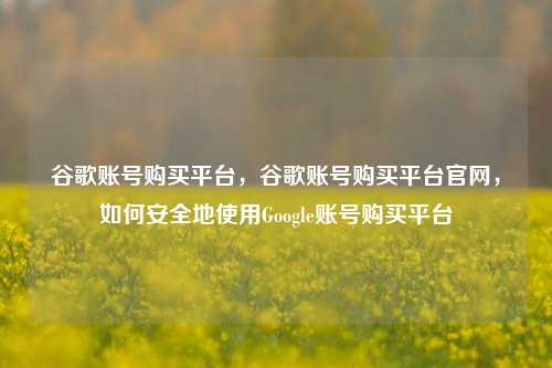 谷歌账号购买平台，谷歌账号购买平台官网，如何安全地使用Google账号购买平台