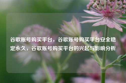 谷歌账号购买平台，谷歌账号购买平台安全稳定永久，谷歌账号购买平台的兴起与影响分析
