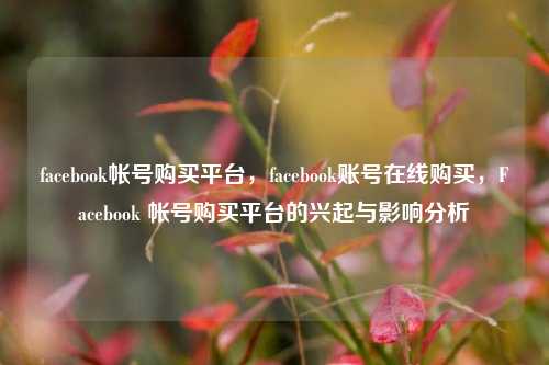 facebook帐号购买平台，facebook账号在线购买，Facebook 帐号购买平台的兴起与影响分析
