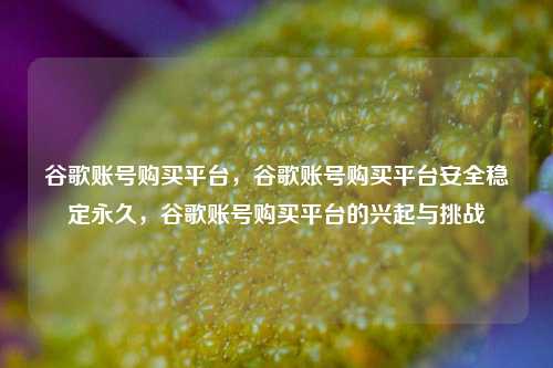 谷歌账号购买平台，谷歌账号购买平台安全稳定永久，谷歌账号购买平台的兴起与挑战
