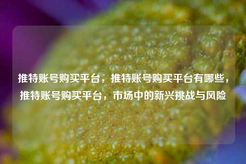 推特账号购买平台，推特账号购买平台有哪些，推特账号购买平台，市场中的新兴挑战与风险