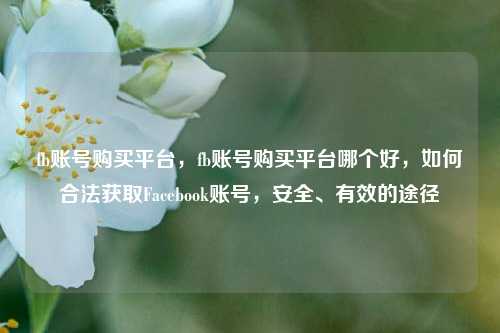 fb账号购买平台	，fb账号购买平台哪个好，如何合法获取Facebook账号，安全、有效的途径  第1张