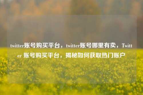 twitter账号购买平台，twitter账号哪里有卖，Twitter 账号购买平台，揭秘如何获取热门账户