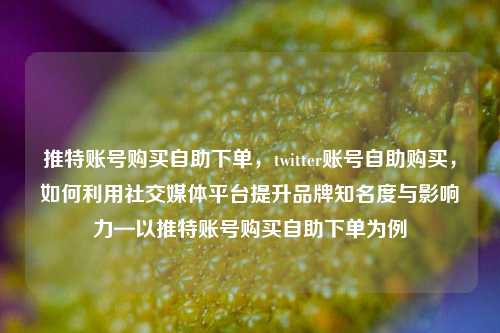 推特账号购买自助下单，twitter账号自助购买，如何利用社交媒体平台提升品牌知名度与影响力—以推特账号购买自助下单为例
