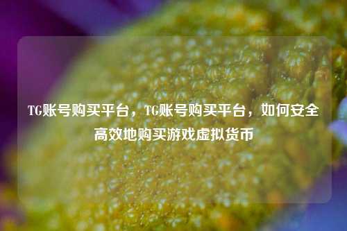 TG账号购买平台，TG账号购买平台，如何安全高效地购买游戏虚拟货币