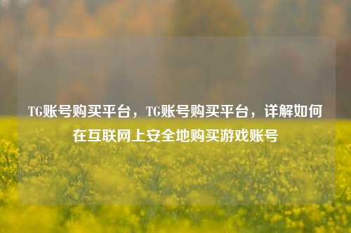 TG账号购买平台，TG账号购买平台，详解如何在互联网上安全地购买游戏账号