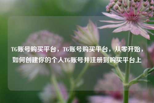 TG账号购买平台，TG账号购买平台，从零开始，如何创建你的个人TG账号并注册到购买平台上