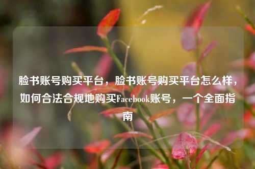 脸书账号购买平台，脸书账号购买平台怎么样，如何合法合规地购买Facebook账号，一个全面指南