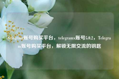 telegram账号购买平台，telegramx账号5.0.2，Telegram账号购买平台，解锁无限交流的钥匙