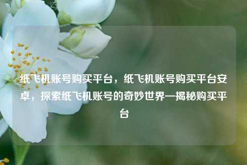 纸飞机账号购买平台，纸飞机账号购买平台安卓，探索纸飞机账号的奇妙世界—揭秘购买平台