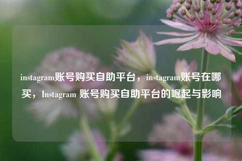 instagram账号购买自助平台，instagram账号在哪买，Instagram 账号购买自助平台的崛起与影响