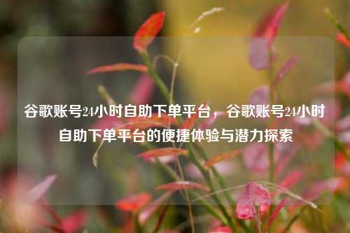 谷歌账号24小时自助下单平台，谷歌账号24小时自助下单平台的便捷体验与潜力探索  第1张