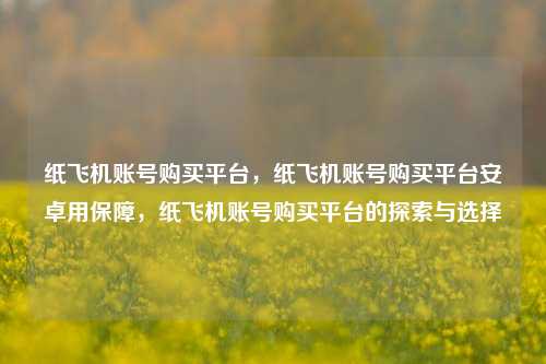 纸飞机账号购买平台，纸飞机账号购买平台安卓用保障，纸飞机账号购买平台的探索与选择